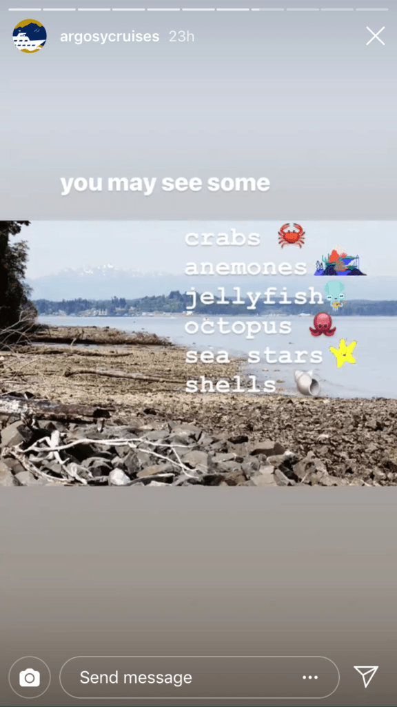 Third photo in the story with the caption 'you may see some crabs, anenomes, jellyfish, octopus, sea stars, and shells' with emojis of each next to the respective word