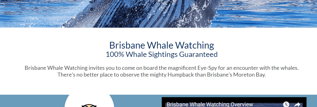 Brisbane Whale Watching guarantee